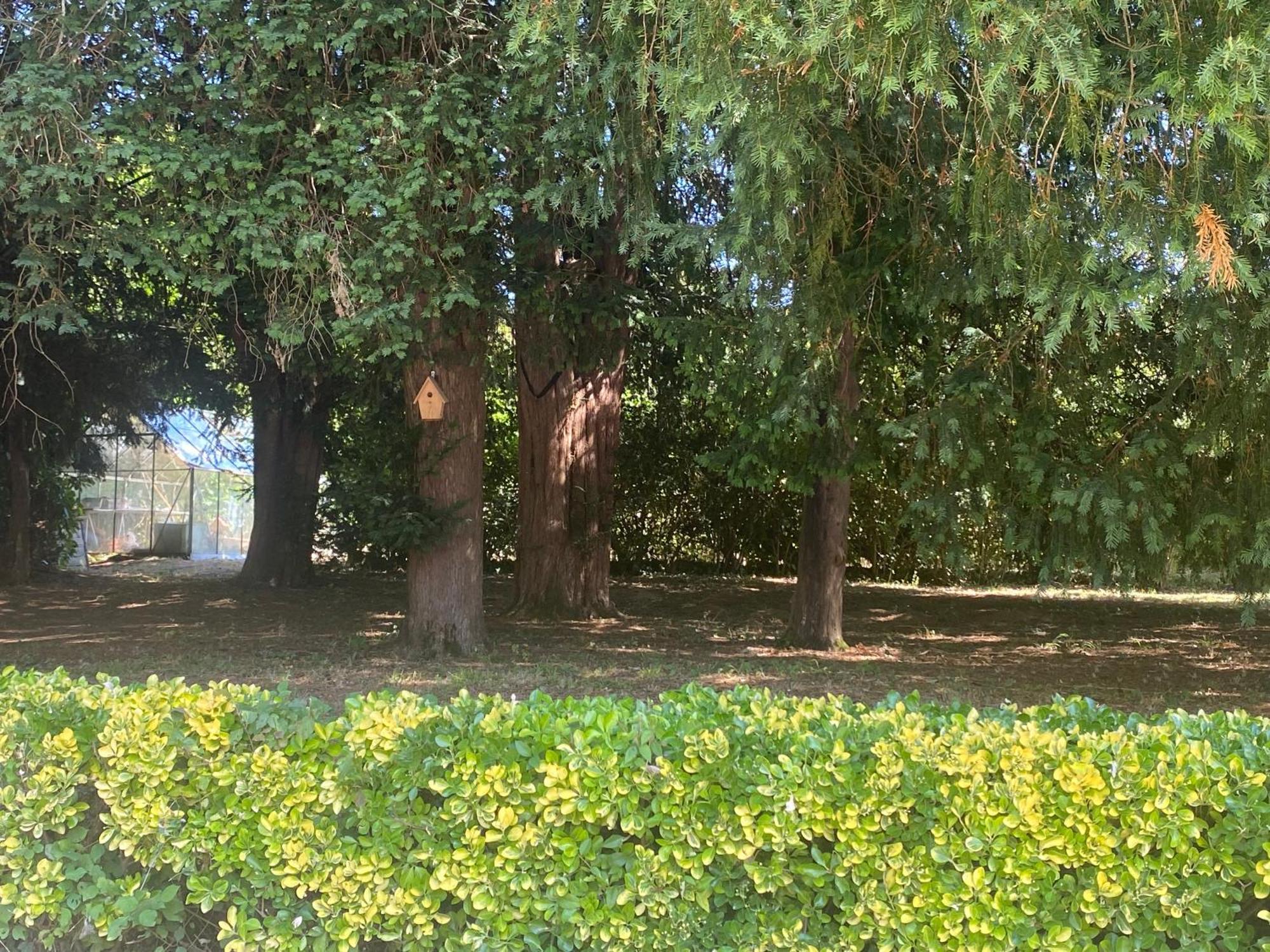 Вилла Domaine De La Mouleyre A Cenac Proche Bordeaux Carignan-de-Bordeaux Экстерьер фото
